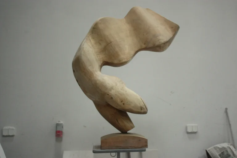 Fregata — drewno, zdjęcie 2