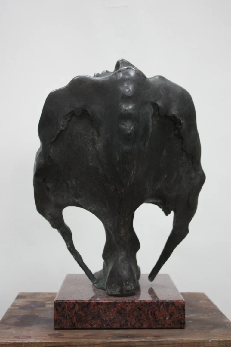 Lazarus — brąz, zdjęcie 4